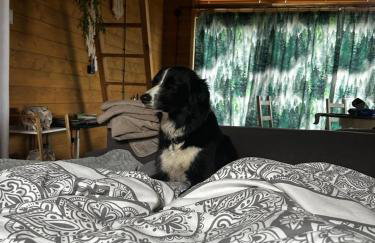 Dream Catcher House - dom do wynajęcia w górach - Foto 2