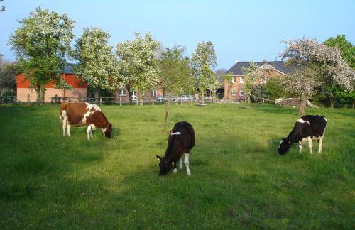 Hof Faasel - Bauernhofurlaub an der Ostsee - Foto 30