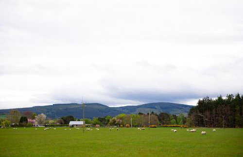 Wynstone Cottage, Speyside - Foto 51