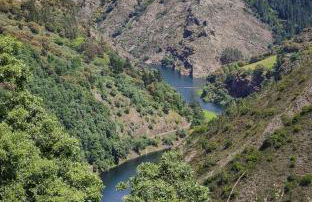 Casa Rural Chao de Castro - Foto 7