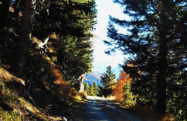 Casa Federica - Foto 46