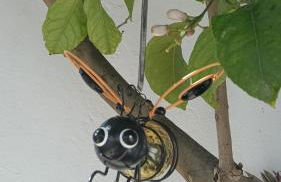 Acogedor loft a 30 minutos de la playa y montaña - Foto 5