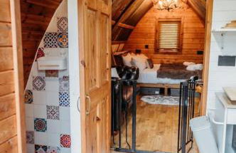 Wild Wren - A Nordic Getaway - Photo 7