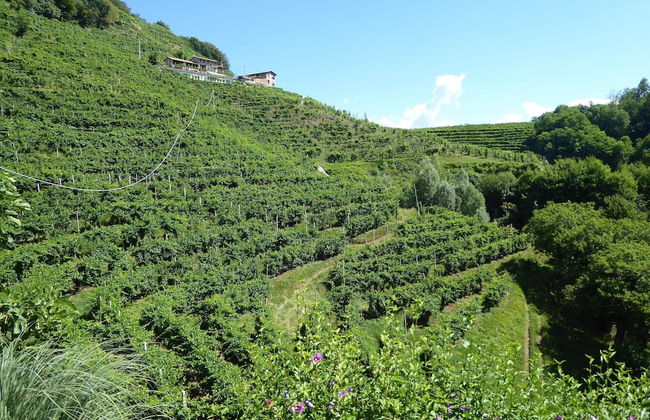 Belvilla by OYO Riva dei Tor - Foto 34