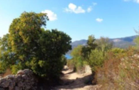 A CASA DI ROSA - Foto 12