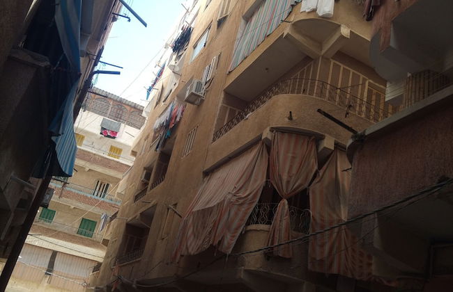 Roma Apartments - Photo 6