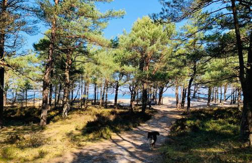 Lilla House - Foto 38