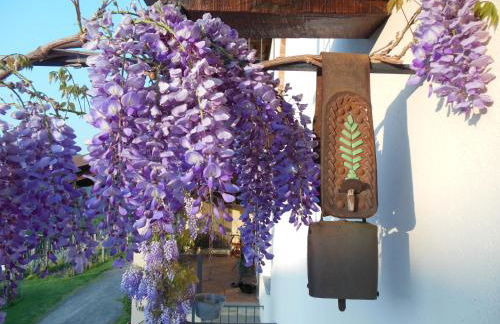 Agriturismo Affittacamere Barbarossa - Foto 33