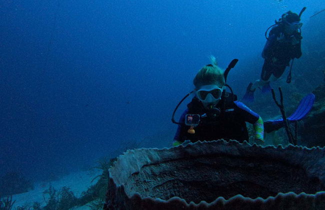 Buceo en San Andrés - Foto 7