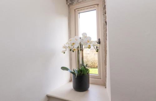 The Old Cobblers - Foto 29