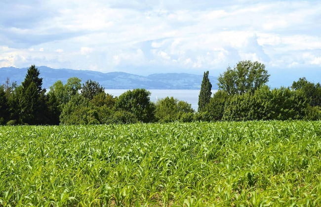 Chalet by Lake Constance With Alpine Views - Foto 32