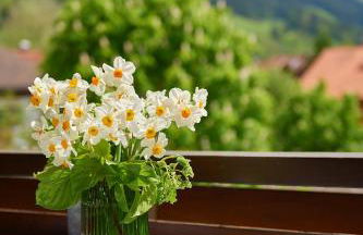 Hornblick FEWO- ab Mai freie Fahrt mit Bergbahnen - Foto 29