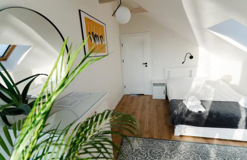 Flora & Sauna Kamieńczyk Konwaliowa 8 - Foto 23