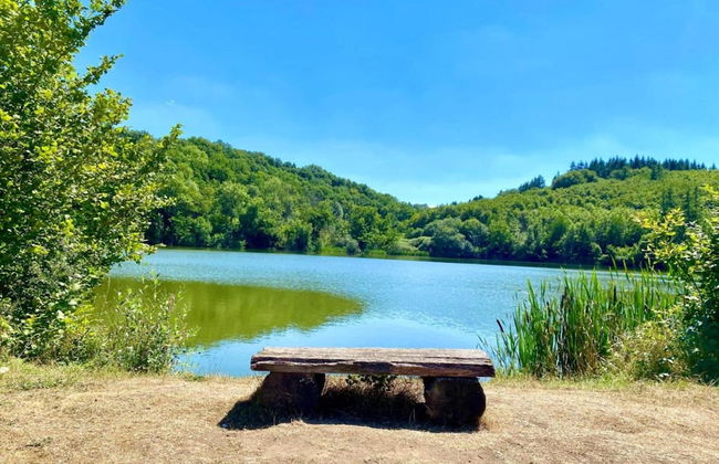 Cozy Apartment in Niederehe Eifel near Forest - Photo 41