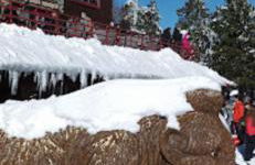 ElatoVillage - Foto 67