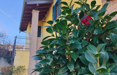 B&B Camera delle Camelie - Foto 26