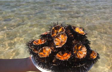 Salento Casa Vacanza Il Focolare - Foto 50