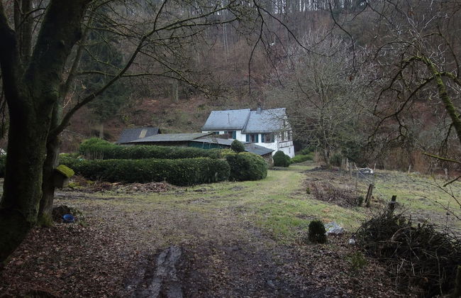 Holiday Home Moselle With Private Sauna - Photo 29