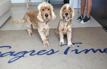 Sagres Time Apartamentos - Foto 19