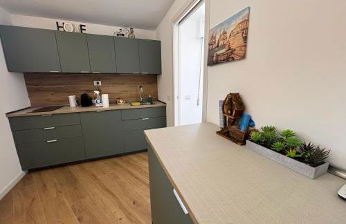 Last floor Aurelio Vaticano - Foto 14