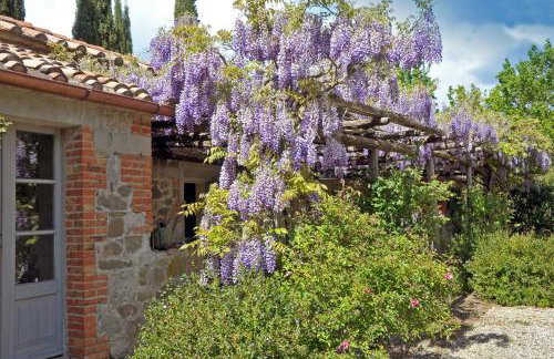 Azienda Agricola Chiarentana - Foto 35