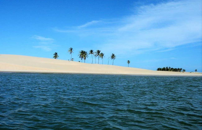 Excursión a la desembocadura del río San Francisco - Foto 3