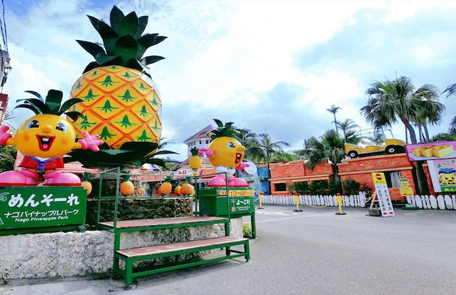 New Normal Hotel in NAGO - Foto 25