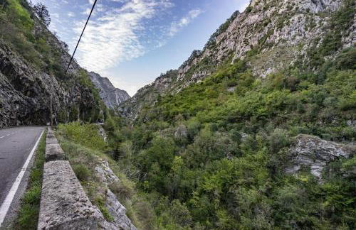 Aguas Parque Ponga - Foto 40