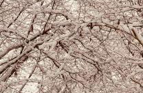 Fairview House - Foto 26