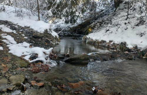 Juraszówka - Foto 34