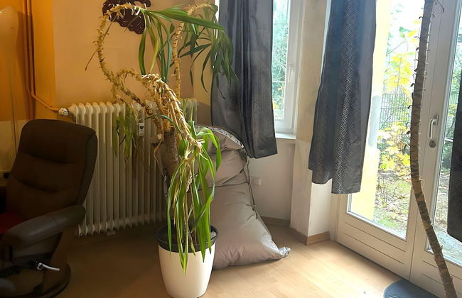 Cosy Apartment in Bad Harzburg With Garden - Foto 9
