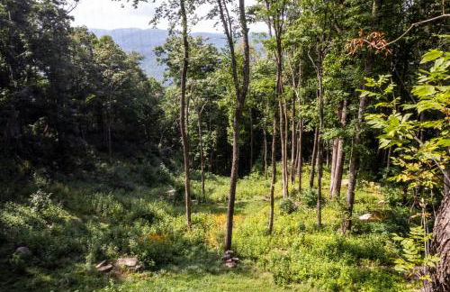 The Four One Two Lodge at Eagles Nest - Foto 43