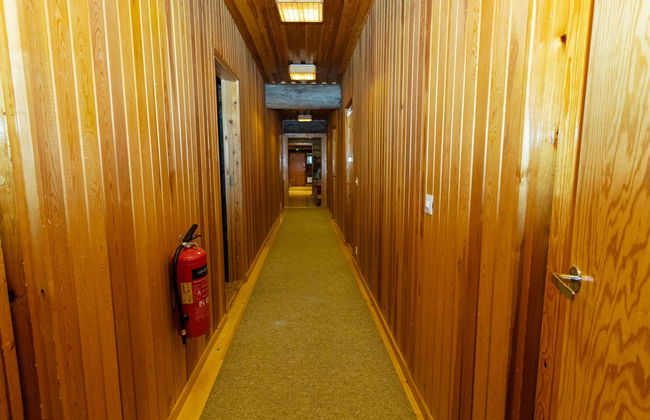 Metsä-luosto - Foto 19