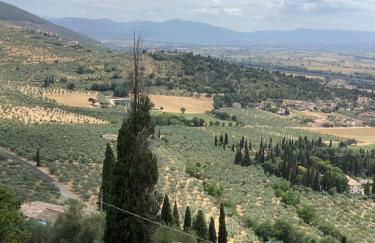 Lo Scrigno di Alice - Photo 23