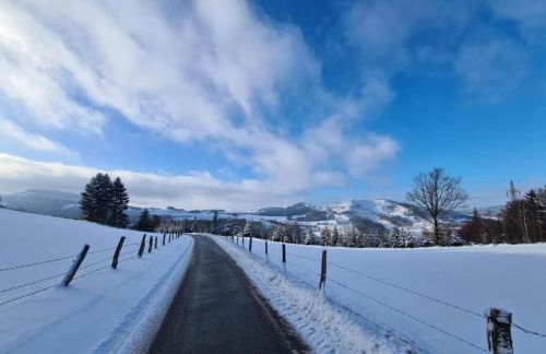 Ferienhaus in Bestwig mit Privatem Garten - Foto 57