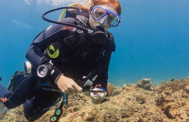 Immersione per principianti a Boracay - Foto 4