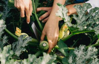 Dimora delle Balze - Foto 44