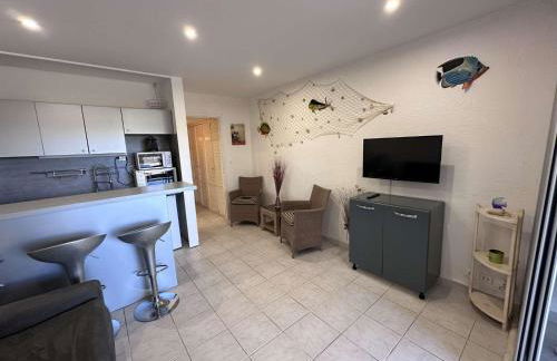 Studio climatisé 30m² avec piscine à 50m de la plage - FR-1-731-107 - Foto 7