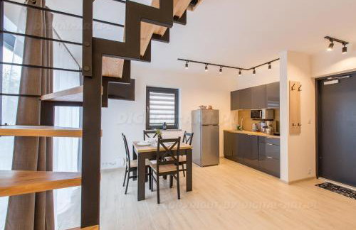 SUDECKA K0RONA domki całoroczne - Foto 6