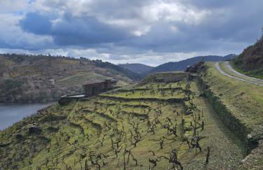 Viña Candaz By Oktheway - Foto 26