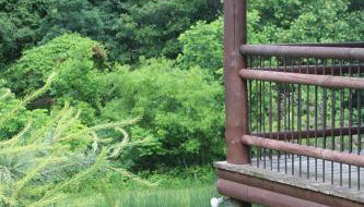 Bushwood Cabin - Photo 5