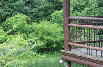 Bushwood Cabin - Foto 5