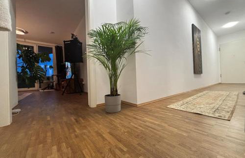 Elegant Furnished Apartment in Central Cologne for Long Stay - Photo 9