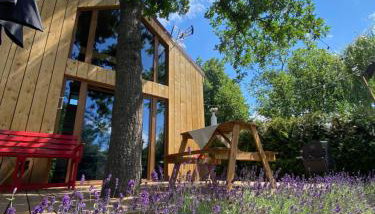 Physio House Sokolik - Foto 3
