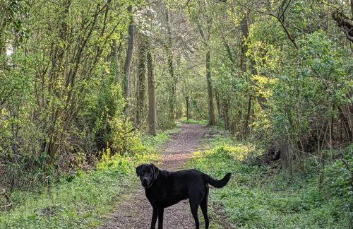 Wellrose Barn - Foto 2