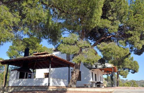 Finca Bonaire Alicante - Foto 7