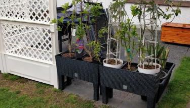 Gästehaus am Teich - Foto 3, Garden