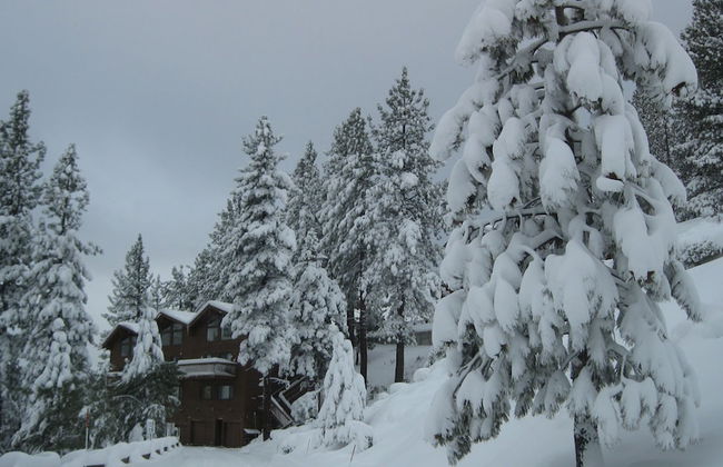 Tahoe Chaparral - Foto 25