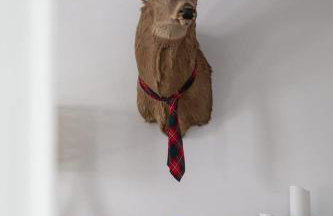 The Blue House on Front Downtown Traverse City - Foto 10