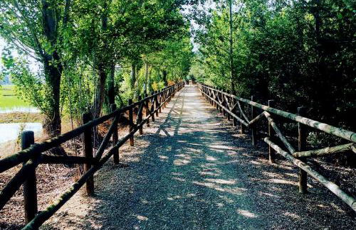 LA PAU DEL DELTA - Foto 30